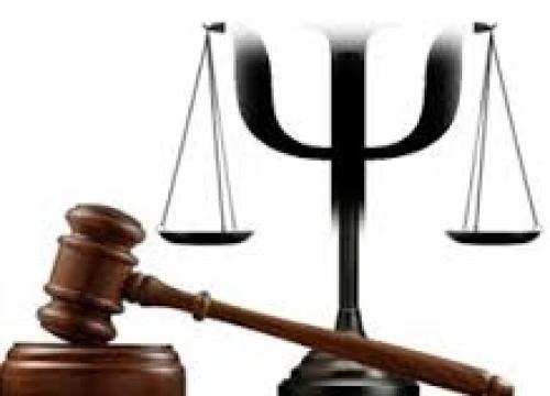 Comunicado de la APF ante las críticas a los psicólogos forenses públicos en relación con el SAP Comunicado de la APF ante las críticas a los psicólogos forenses públicos en relación con el SAP