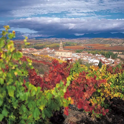XII Convención APF - Asociación de Psicología Forense